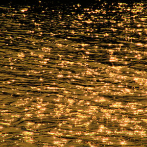 Sunlight on the Lake
